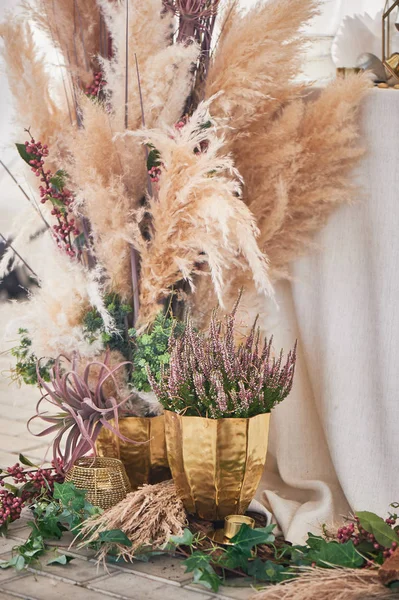 Boho tarzında düğün dekorasyonu. Açık renkler, çadırda. Pampas çimile dekore düğün masası. Güller ve altın geometrik şamdanlar.
