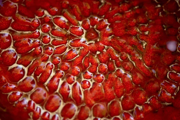 Cerâmica, a textura da romã. Vermelho . — Fotografia de Stock