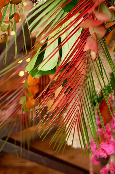 Texture feuilles de palmier colorées.Lumineux été ensoleillé. Créatif — Photo