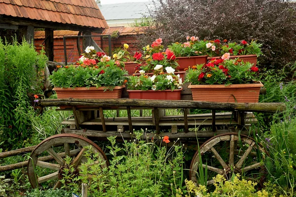 Оздоблення та декор саду. Дерев'яний старий універсал і горщики з квітами. . — стокове фото
