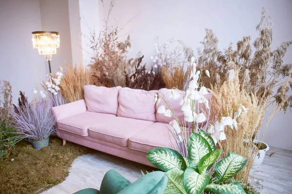 The interior is eco-style.Pink sofa with voluminous pillow. Moss on the floor, cereals, fern, pampas and dried flowers. Pastel wreaths.