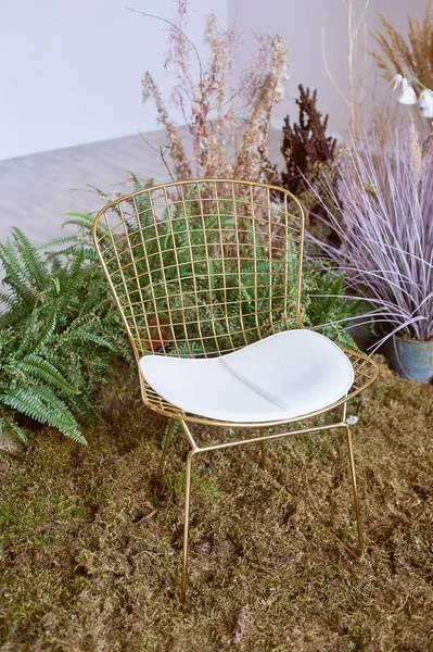 깃대가 있는 황금 의자가 이끼 위에 서 있다. Eco design.Stylish 인테리어와 곡물 과말린 꽃. — 스톡 사진