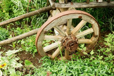 Eski tahta bir tekerlek. Arabanın bir parçası. Atların yardımıyla eski bir hareket biçimi..