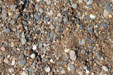 Yakın çekim, çeşitli boyutlarda, pürüzsüz çakıl taşları kaba kumla karışık, gri, kahverengi ve beyaz tonlarda..