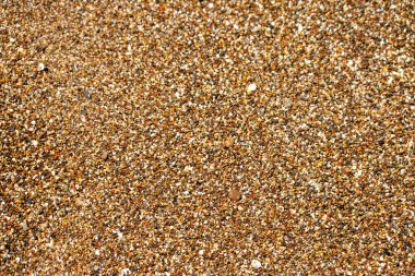 Sahilde küçük çakıl taşlarını gösteren yüksek açılı, yakın plan bir görüntü, yoğun bir şekilde bir araya toplanmış ve çerçeveyi sıcak, topraksı tonlarla dolduruyor..