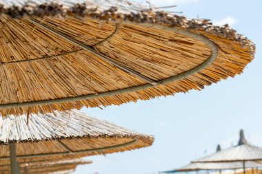 Açık mavi gökyüzüne karşı sazdan yapılmış plaj şemsiyelerinin yakın çekimi. Ön plan şemsiyesi odaklanırken, diğerleri arka plana çekiliyor.