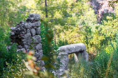 Yeşillik ile kaplanmış taş kalıntıları yumuşak, doğal ışıkta bulanık bir orman zeminine kurulmuştur..