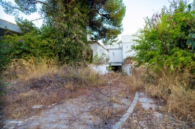 Aşırı gelişmiş bitki örtüsü terk edilmiş beyaz bir bina, kurumuş otlar ve ön planda dağılmış dallarla çevrelenir..