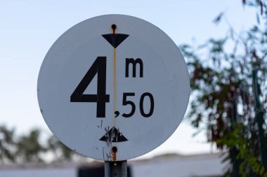 Yakın plan, açık alanda bulanık bir arkaplan üzerinde 