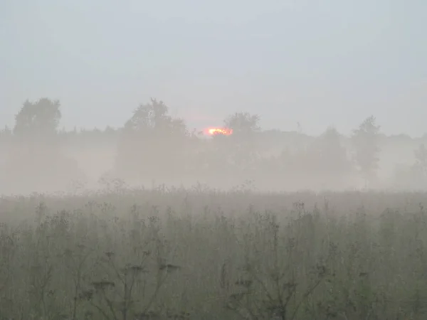 Večerní Mlhavá Cesta Poli — Stock fotografie