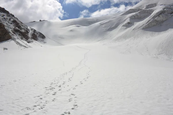 Dağcı kar dağ tepe üzerinde ayak izleri. Kazakistan, Tanrı Dağları