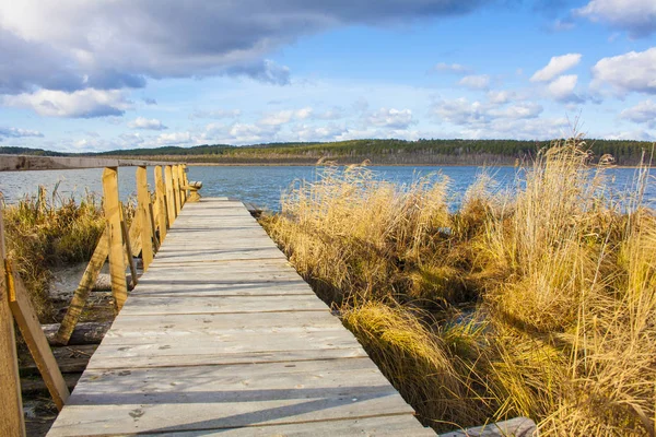 Molhe de madeira com grades no lago chamado Gurino na Sibéria com um céu azul nublado e junco dourado — Fotografia de Stock
