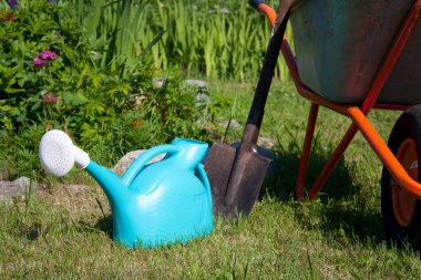 bahçede çim Bahçe aletleri