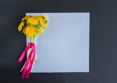 Buket sarı çiçekler karahindiba ile pastel renk arka planda beyaz boş.