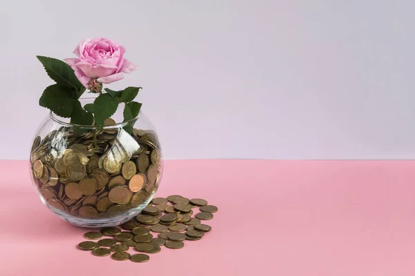Save money concept. Vase with coins and grow plant flower
