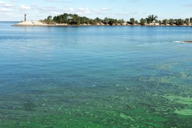 Nehrin plastik kirliliği.