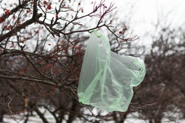 Dışarıdaki ağaçta plastik torba.