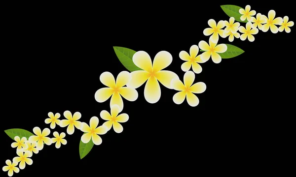 Plantilla de flores Frangipani (Plumeria) para el vector de diseño EPS10 . — Vector de stock