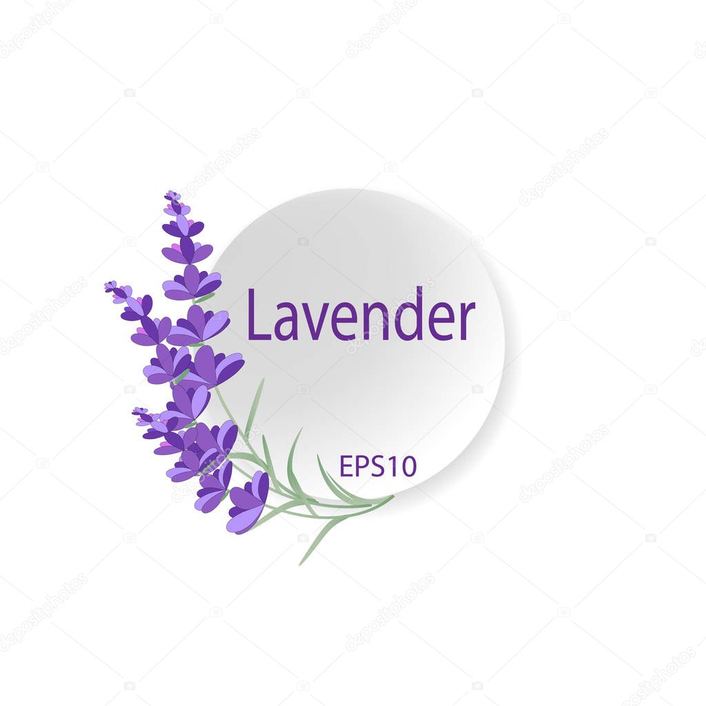 Flower logo card. Mockup for design. Vector eps10.