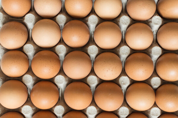 Many brown chicken eggs in the nests of the carton.