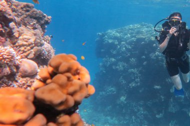 Mercan resif deniz havuzunda Tropikal balıklar ile şnorkelli yüzme maskesi ve takım dalış adam sualtı.