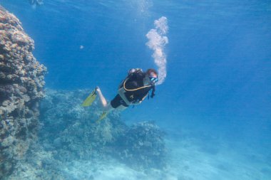 Mercan resif deniz havuzunda Tropikal balıklar ile şnorkelli yüzme maskesi ve takım dalış adam sualtı.