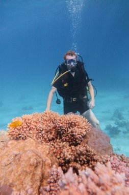 Mercan resif deniz havuzunda Tropikal balıklar ile şnorkelli yüzme maskesi ve takım dalış adam sualtı.