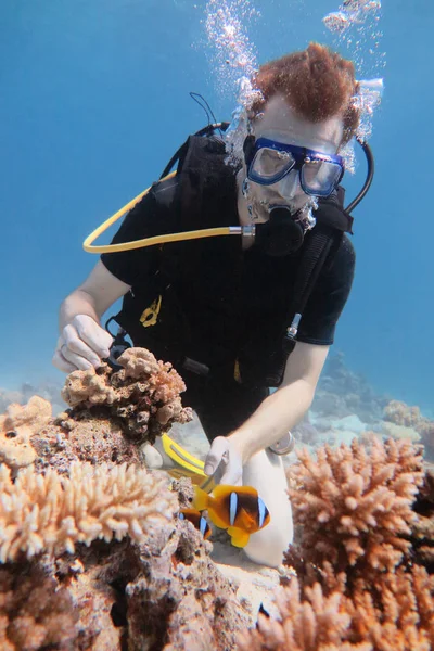 Человек в маске для подводного плавания и костюме ныряет под воду с тропическими рыбами в бассейне кораллового рифа . — стоковое фото