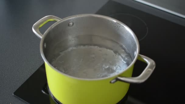誘導ストーブの上で沸騰した水の完全な鍋 — ストック動画