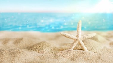 Turkuaz okyanusun üzerinde, kumsaldaki Karayip beyaz denizyıldızı. Yaz arkaplanı.