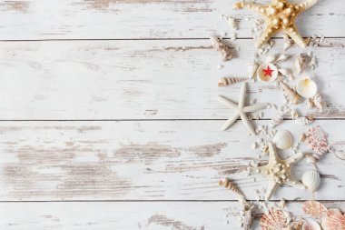 Ahşap arka planda deniz yıldızı ve deniz kabukları. Yaz dönemi. Boşluğu kopyala.