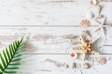 Ahşap arka planda deniz yıldızı ve deniz kabukları. Yaz dönemi. Boşluğu kopyala.
