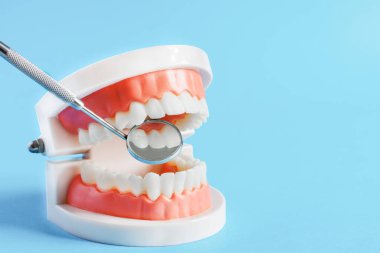 Mavi arka planda diş modeli ve diş aynası. Diş bakımı konsepti. Boşluğu kopyala.