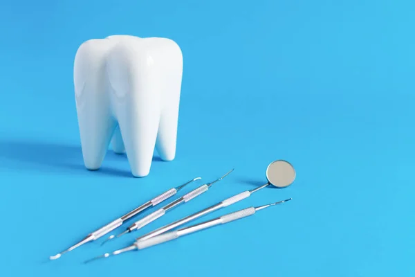 Modelo Diente Dental Blanco Con Herramientas Odontología Para Cuidado Dental —  Fotos de Stock