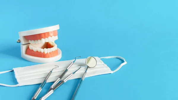 Modelo Dientes Dentales Con Herramientas Odontología Para Cuidado Dental Tratamiento —  Fotos de Stock