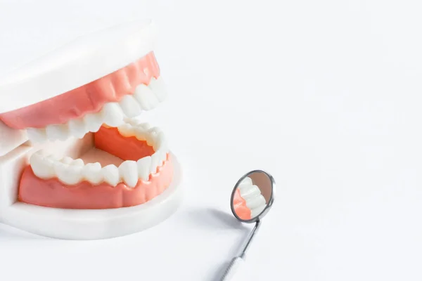 Modelo Dientes Espejo Dental Sobre Fondo Blanco Cerca Concepto Cuidado —  Fotos de Stock