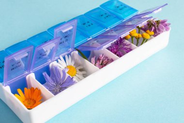 İlaç organizatöründe çeşitli tıbbi bitkiler var. Alternatif tıp konsepti. Her gün için holistik tedavi.