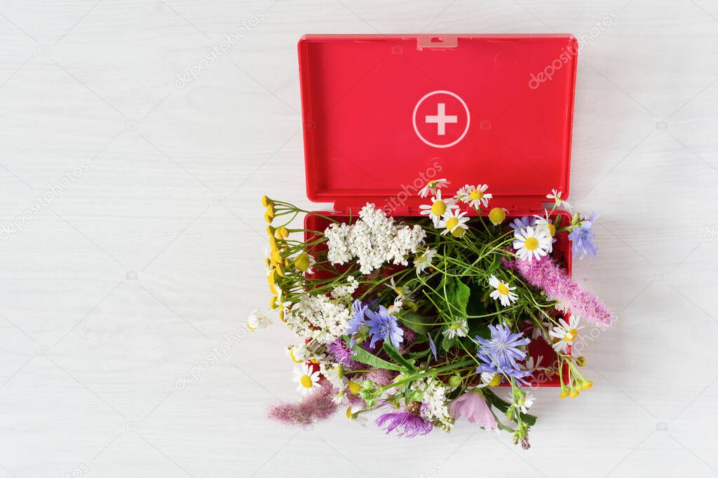 Fresh medical herbs in red first aid kit top view on gray background. Alternative medicine concept. Holistic therapy.