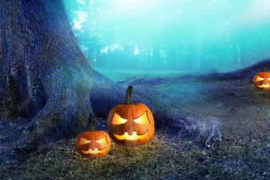 Karanlık gizemli ormanda Cadılar Bayramı balkabağı. Cadılar Bayramı arka planı. Cadılar Bayramı Feneri.