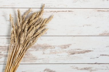 Beyaz ahşap arka plan manzaralı buğday kulakları. Bir demet buğday. Sonbahar arkaplanı.