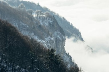 Kış sis ortaya çıkan dağ.