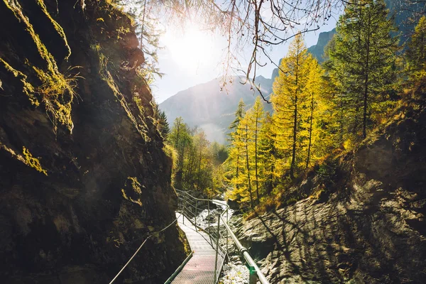 Passerelle Des Sources Thématiques Leukerbad Gorge Dala Automne Images De Stock Libres De Droits