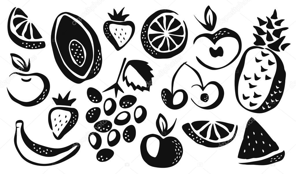 Collection of different fruits drawing hand painted with ink brush isolated on white background. Vector illustration