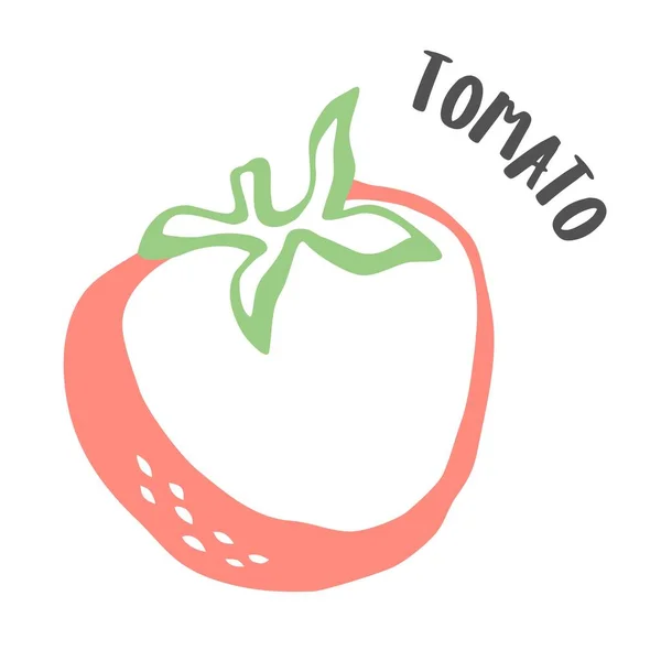 Tomatenzeichnung Von Hand Mit Tuschpinsel Isoliert Auf Weißem Hintergrund Gemalt — Stockvektor