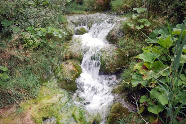 Plitvicesjöarna Kroatien — Stockfoto