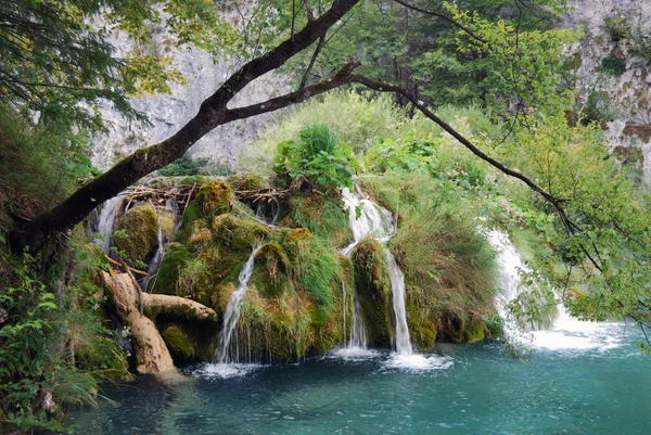 Plitvicemeren Van Kroatië — Stockfoto