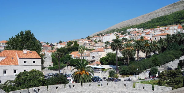 Croacia Dalmacia Meridional Dubrovnik —  Fotos de Stock