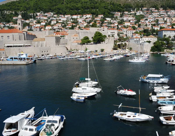 Croacia Dalmacia Meridional Dubrovnik —  Fotos de Stock