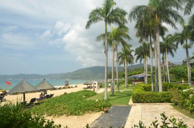 Palmiye ağaçlarının sahile, ödül, Yalong bay, Çin, Hainan, Sania