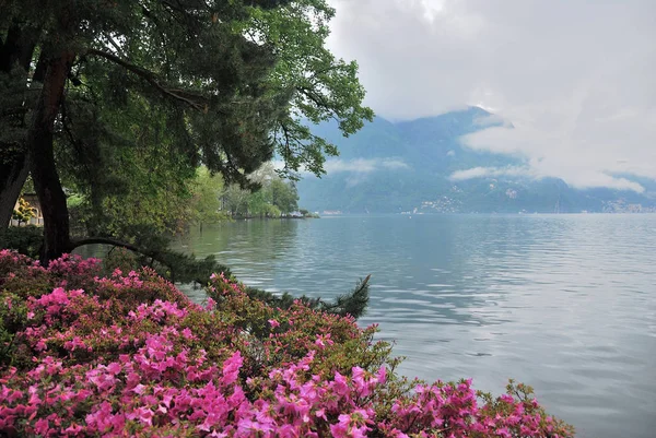 Вид Озеро Лугано Тумані Швейцарія — стокове фото